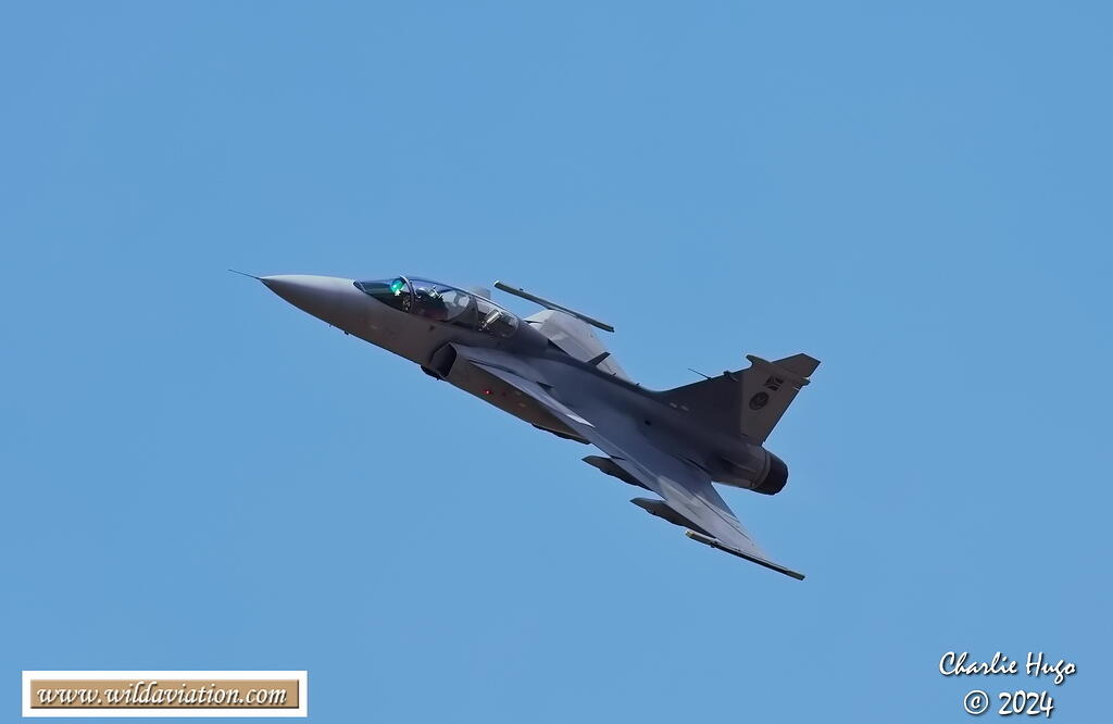 Wonderboom 2024 3B6A7792