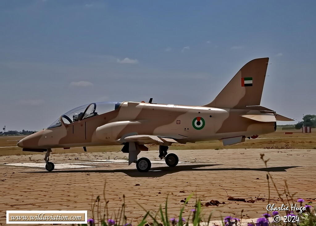 Wonderboom 2024 AK7Z2576