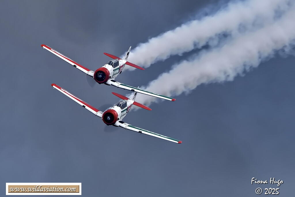 Pretoria Rhino Park Airshow 2025 Fiona 081A8837
