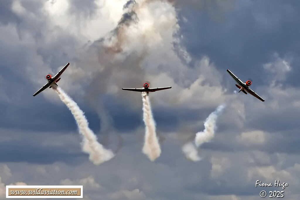 Pretoria Rhino Park Airshow 2025 Fiona 081A8957