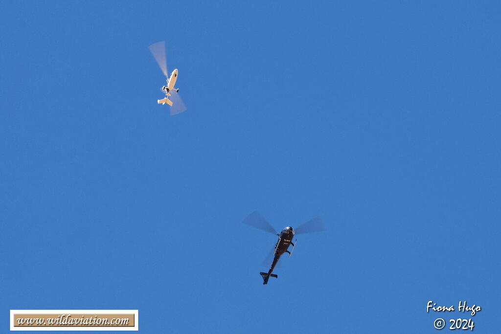 ICAD 2024 Fiona 081A7007