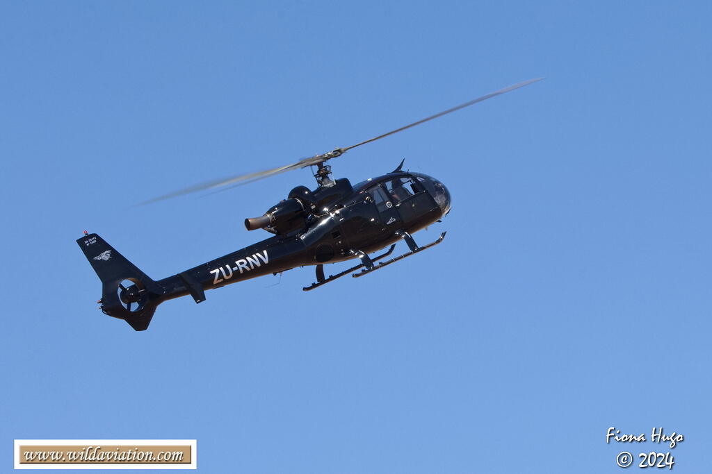 ICAD 2024 Fiona 081A7115