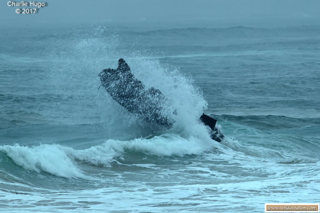 AFD Dbn 2017 CP5O5579 rsize