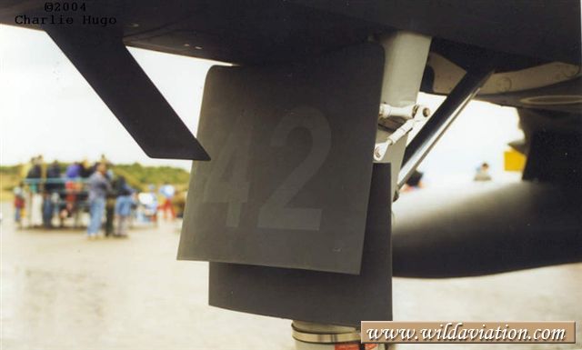cheetahe37