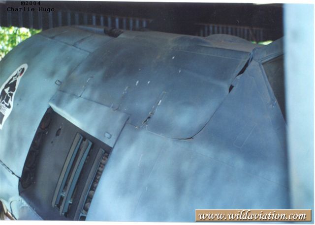 leftcoolingflap