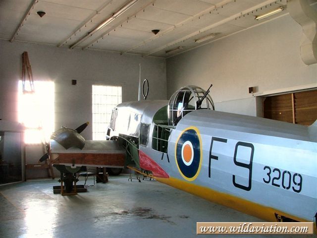 Anson 2004 0131swartkop Anson 30067