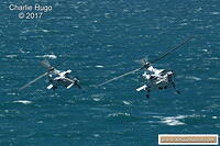 AFD Dbn 2017 CP5O3442