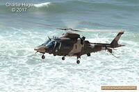 AFD Dbn 2017 CP5O3771