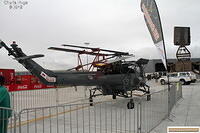 AAD 2010 Wasp IMG 0240