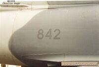 cheetahe28