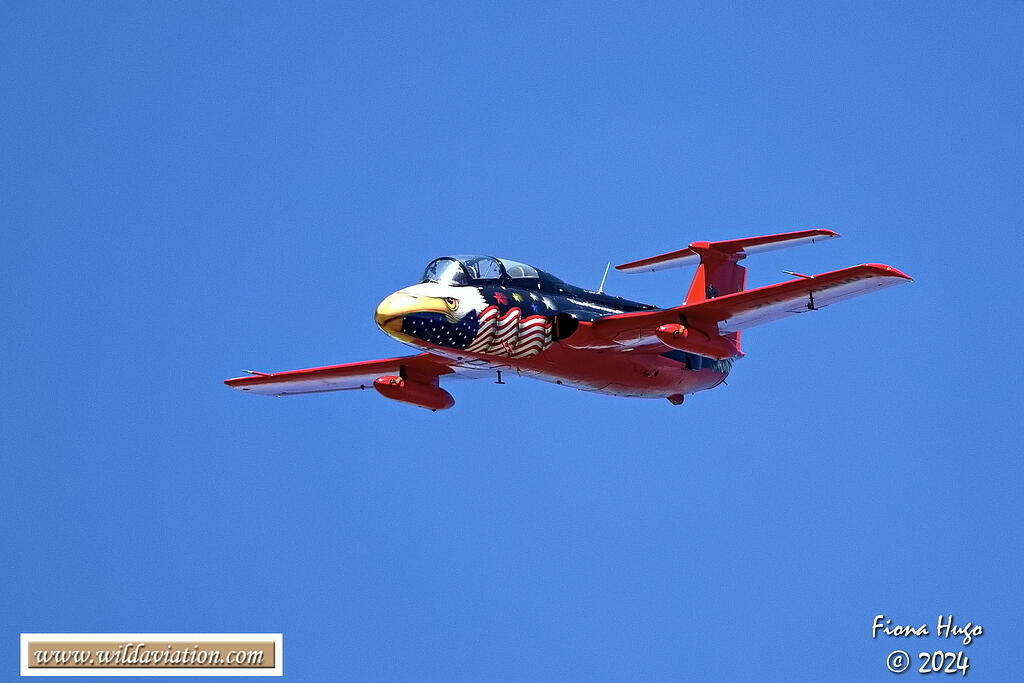 Newcastle Airshow 2024 Fiona 081A2704