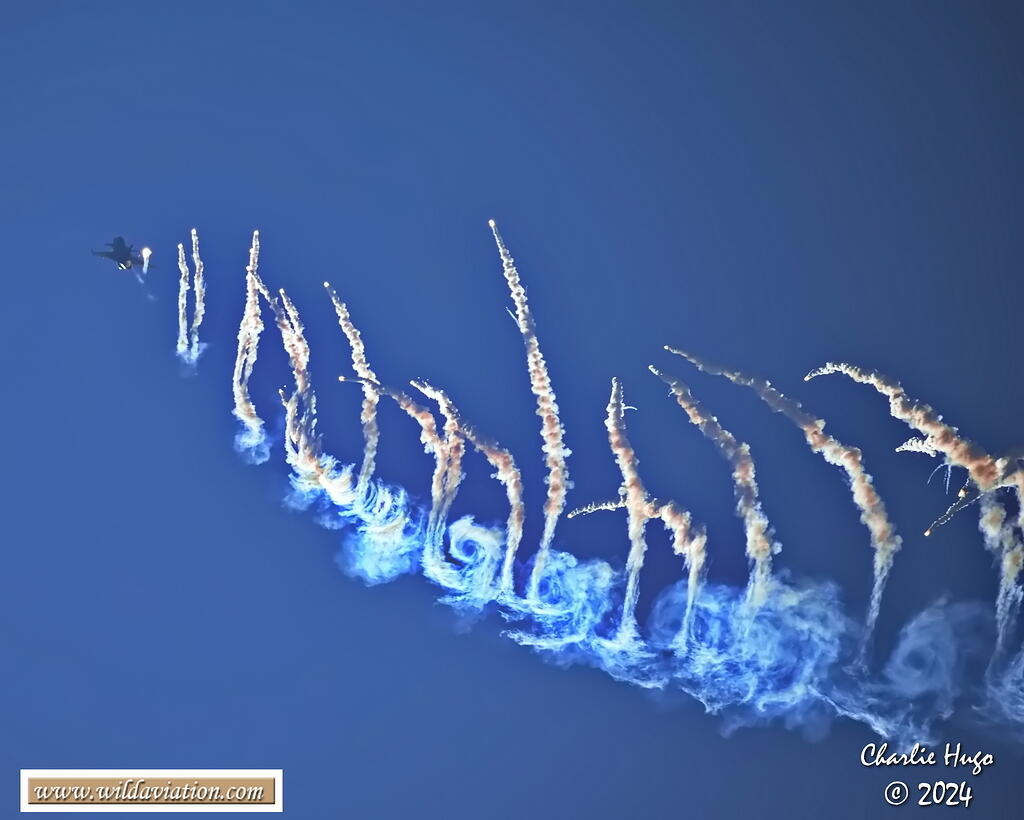 Polokwane 2024 3B6A6440