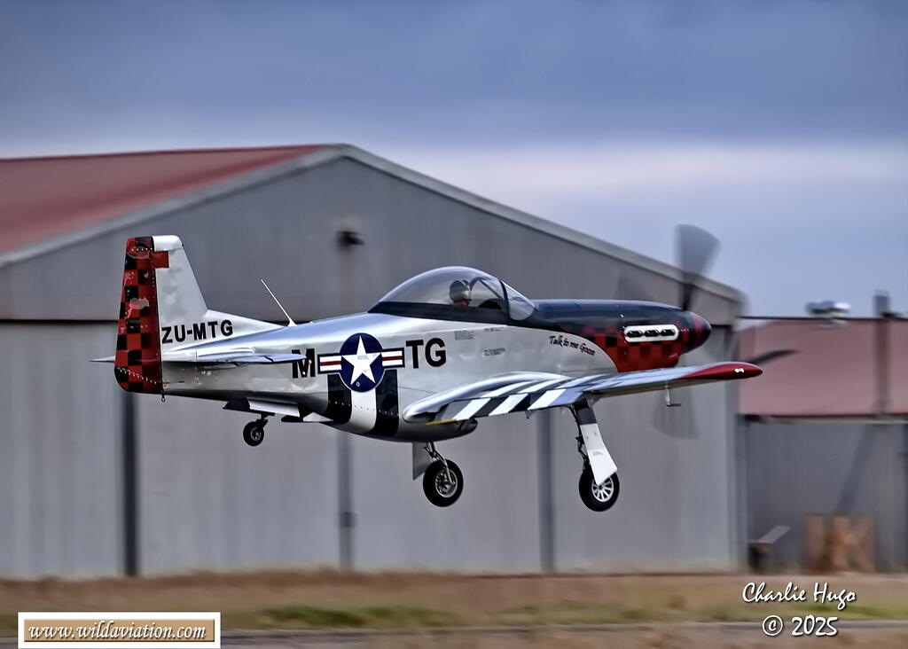 Westcoast 2025 3B6A7539