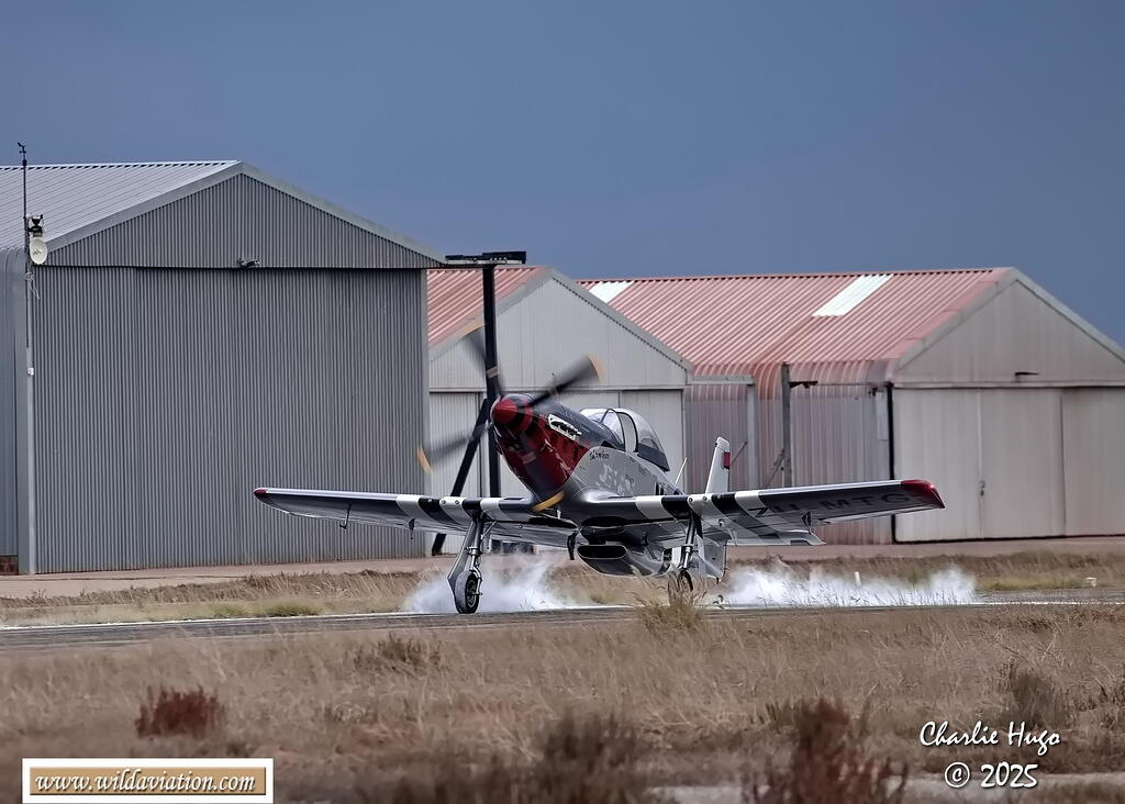 Westcoast 2025 3B6A7546