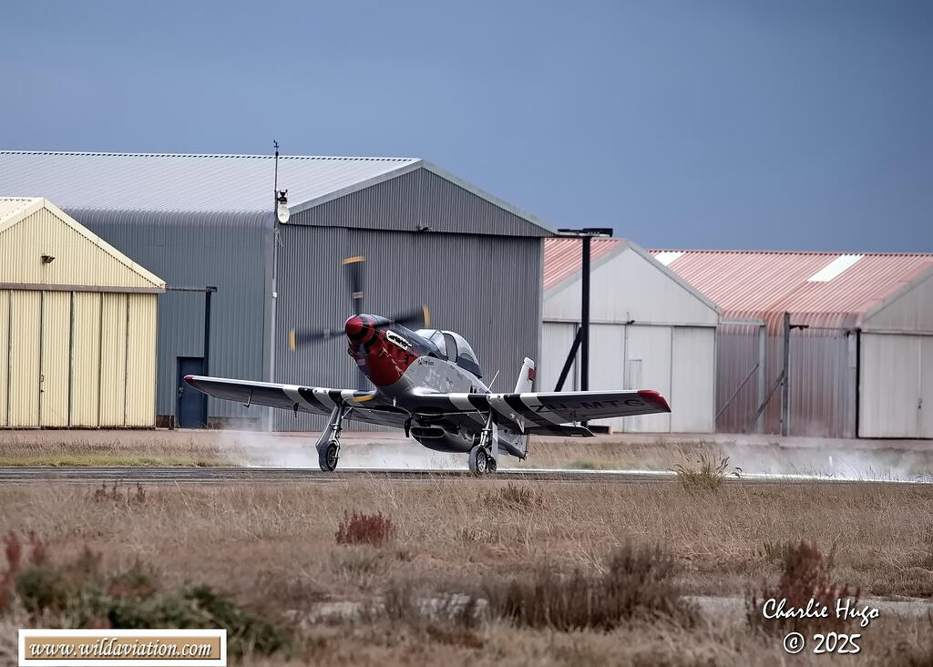 Westcoast 2025 3B6A7552