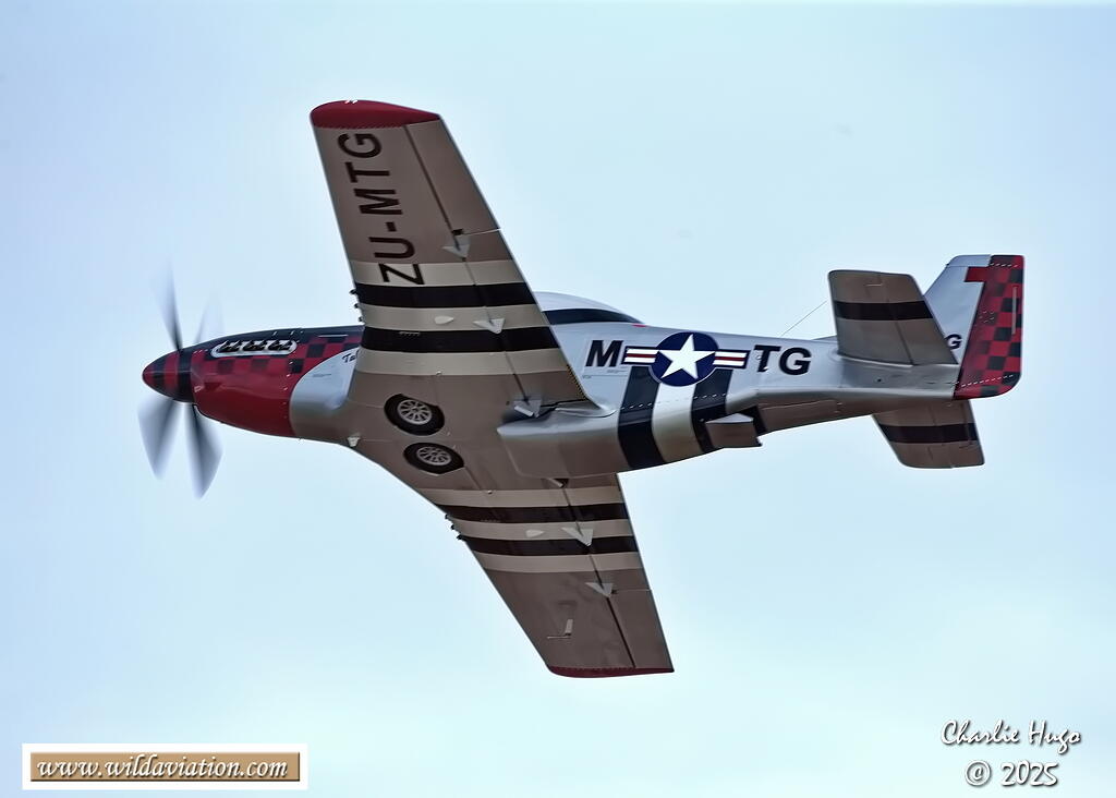 Westcoast 2025 AK7Z5027