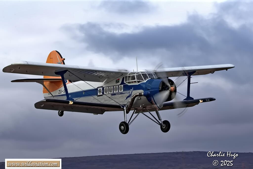 Westcoast 2025 AK7Z5123