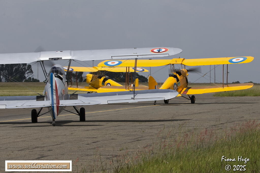 DH60 Moth Rand 2025 Fiona 081A3555