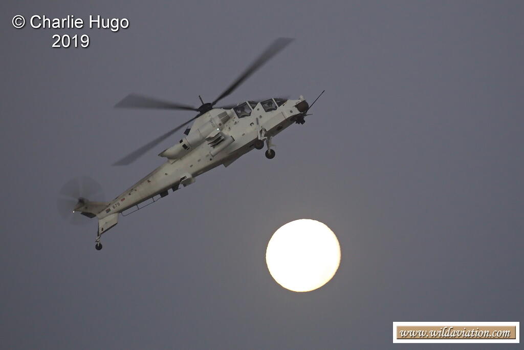 AFD 2019 CP5O1045