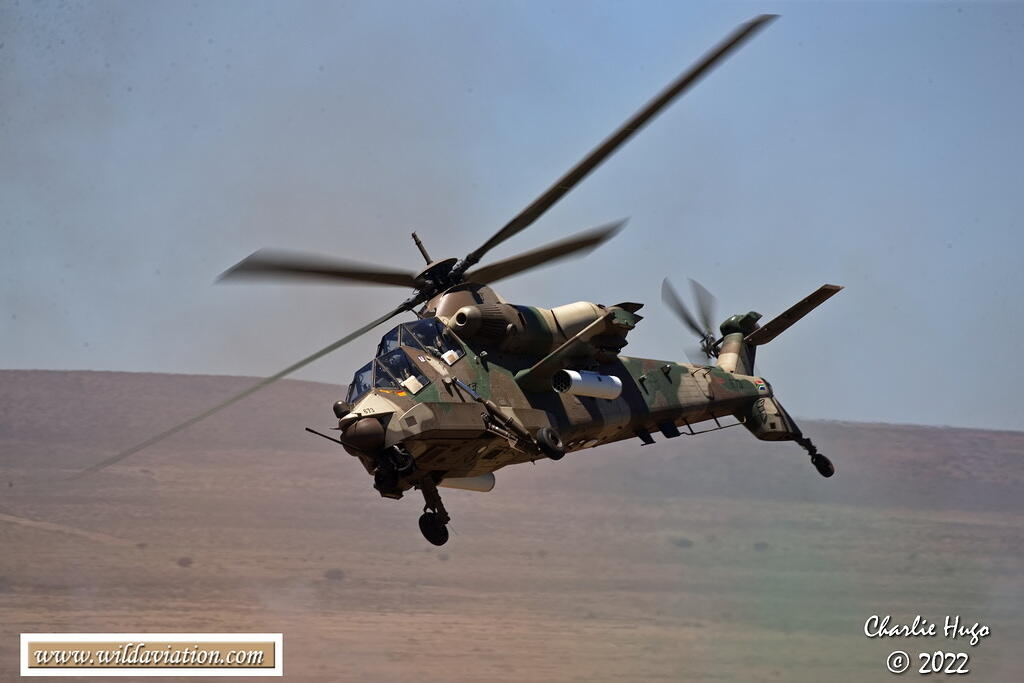 Lohatla 2022 AK7Z2382