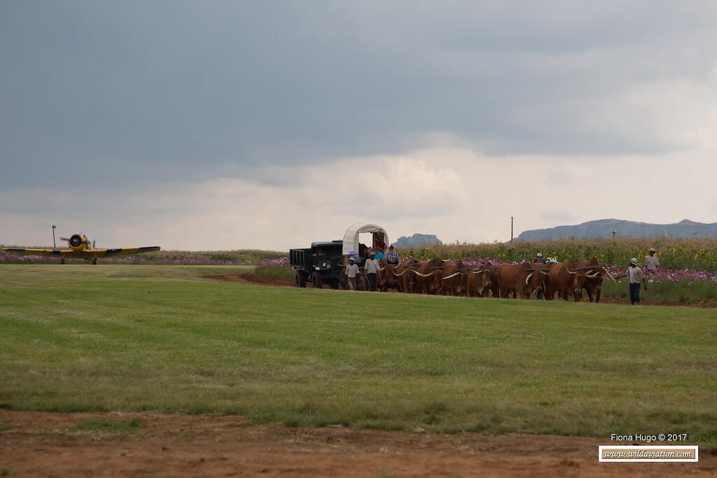 Fiona Hugo Stars of Sandstone 2017 BE5B4759 9