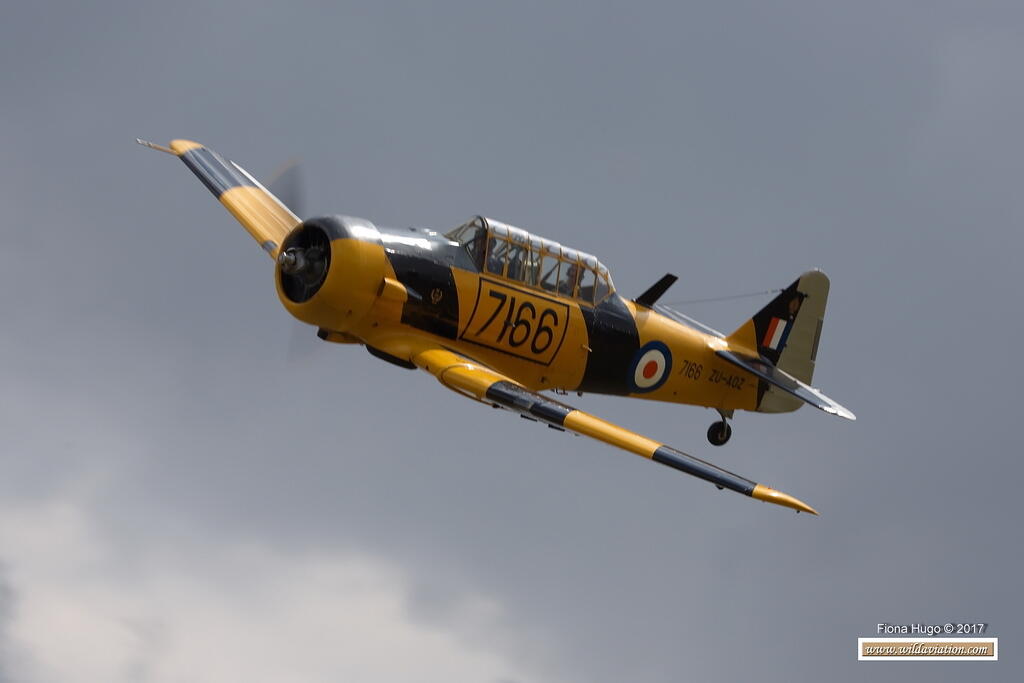 Fiona Hugo Stars of Sandstone 2017 BE5B4899