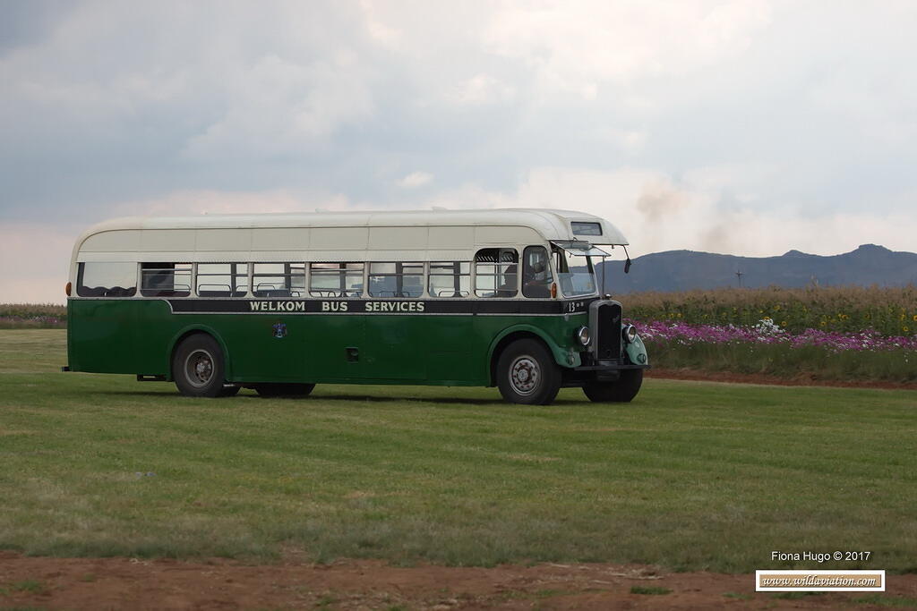 Fiona Hugo Stars of Sandstone 2017 BE5B4928 9