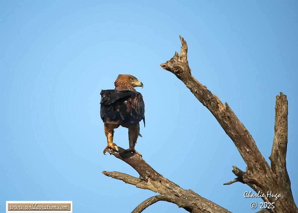 KNP Dec 2025 029A2528