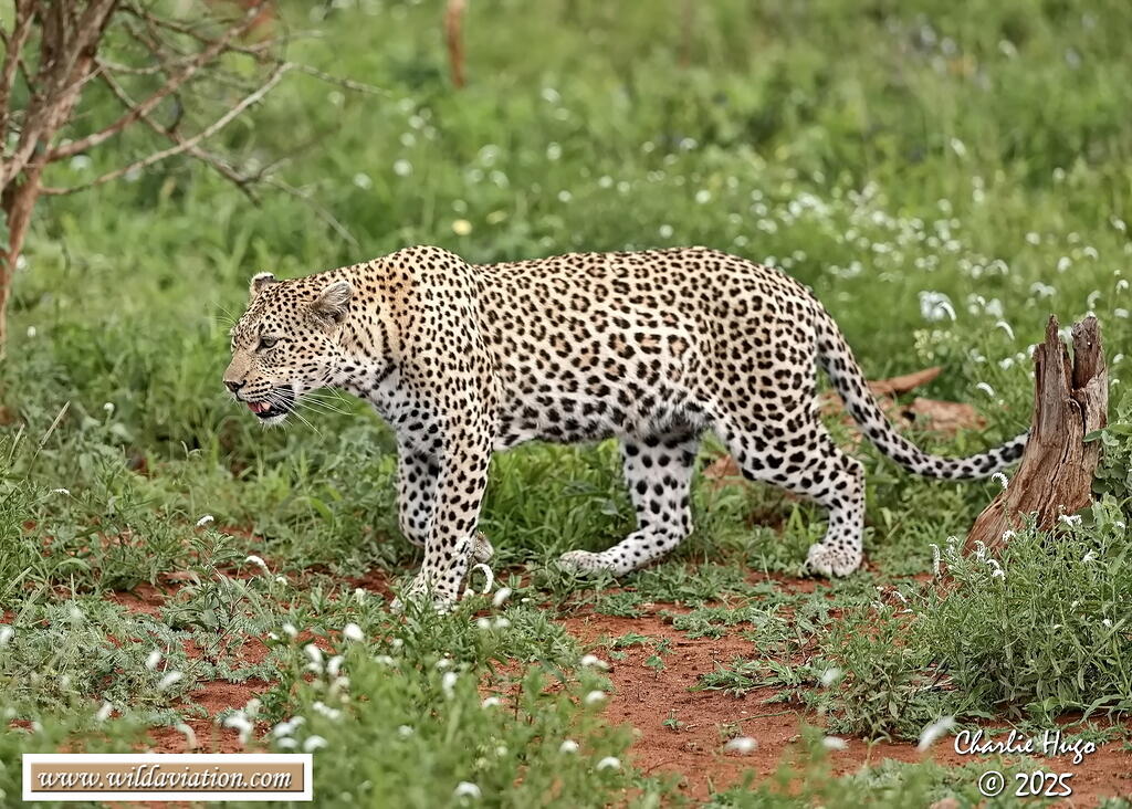 KNP Dec 2025 029A3521