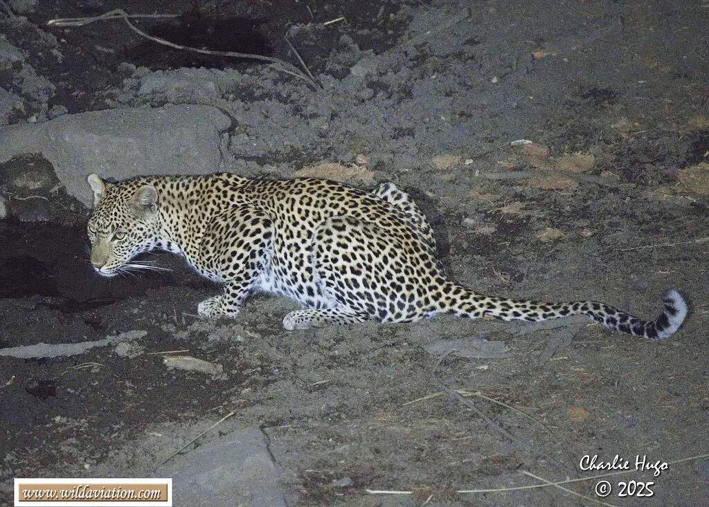 KNP 09-2025 029A6894