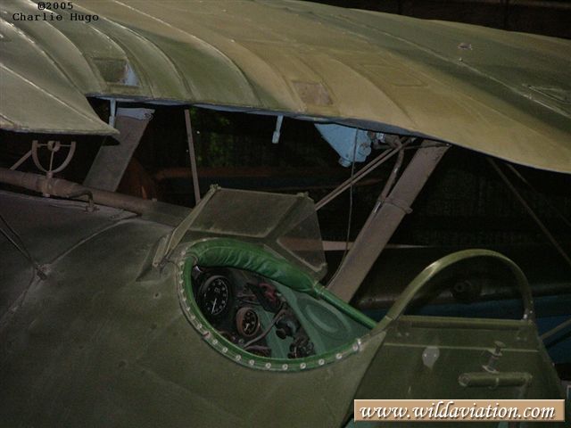 charlieH Haartebees 36