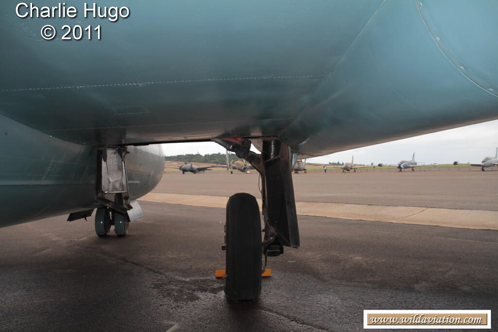 Canberra BI6 IMG 2032