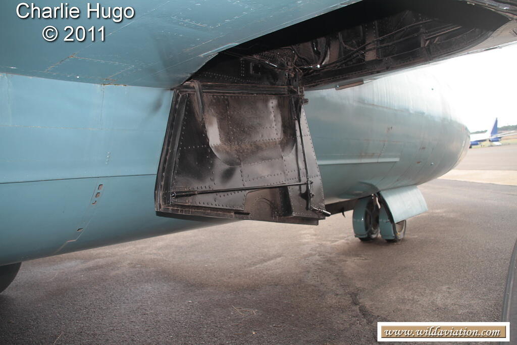 Canberra BI6 IMG 2034