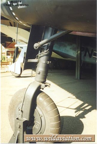 NOSELEG