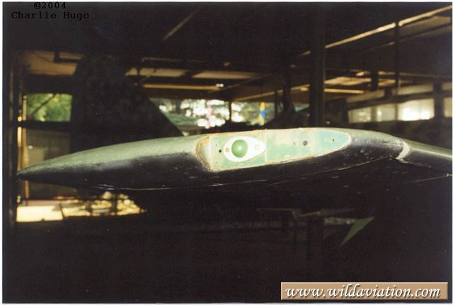 starboardwingtip