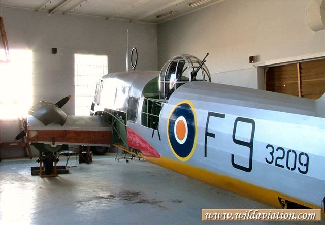 Anson 2004 0131swartkop Anson 30066