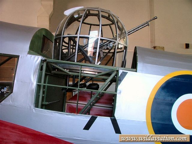 Anson 2004 0131swartkop Anson 30069