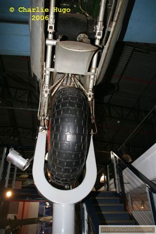 IMG 5512