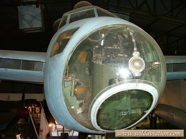 charlieH Mosquito 16