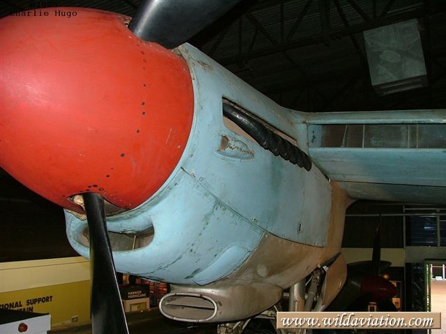 charlieH Mosquito 61
