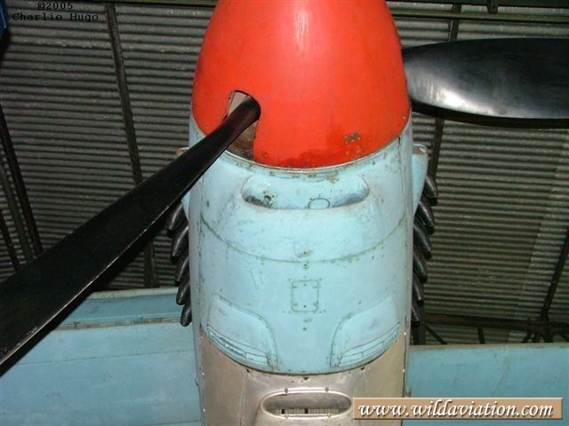 charlieH Mosquito 67