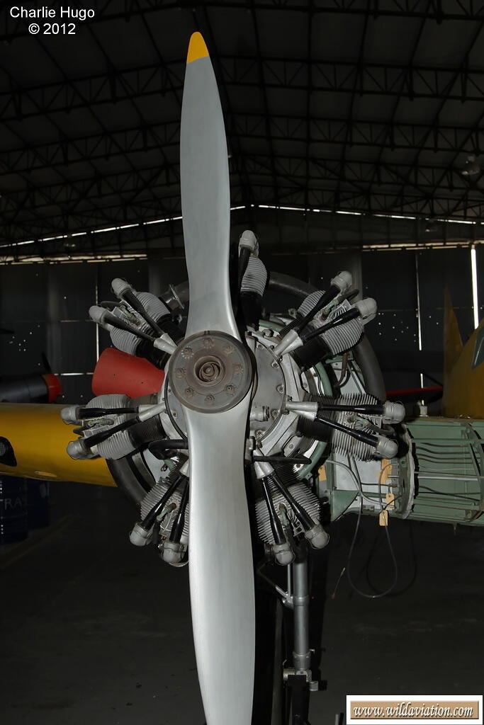 Oxford SAAF Museum PE CP5O1257