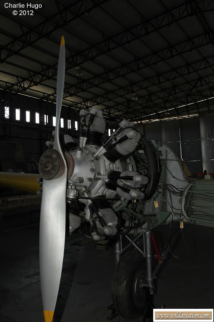 Oxford SAAF Museum PE CP5O1258