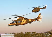 Nelspruit 2025 029A6250