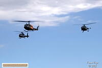 Pretoria Rhino Park Airshow 2025 Fiona 081A0880