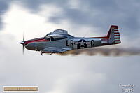 Pretoria Rhino Park Airshow 2025 Fiona 081A8353