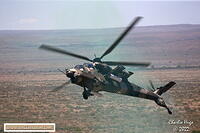 Lohatla 2022 AK7Z1631