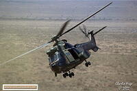 Lohatla 2022 AK7Z1699