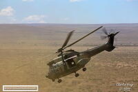 Lohatla 2022 AK7Z1707