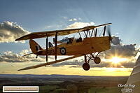 Cherry Festival 2023